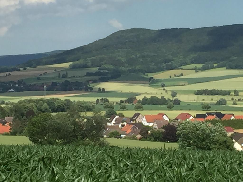 Gaestehaus White Horse Diedersen Coppenbrügge Eksteriør bilde